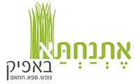 כרטיס חדש - שנה שם